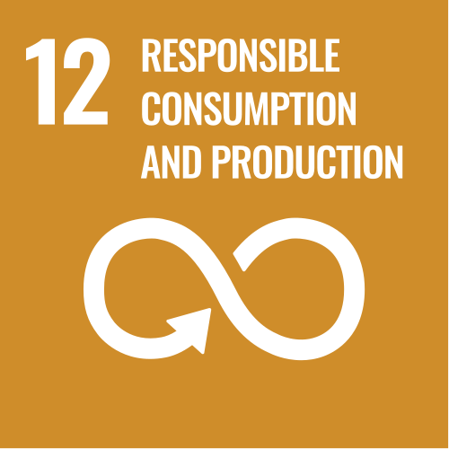SDG 12 - Responsible Consumption and Production